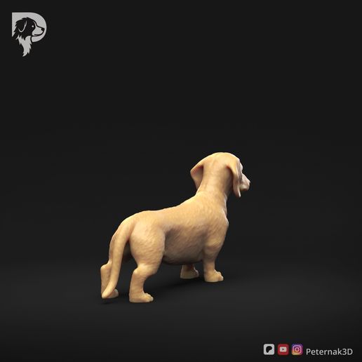 Dachshund-Miniature-Smooth-Haired-Pose-01-Dog-3D-Print-4s.jpeg Dachshund Miniature Smooth Haired Pose 01