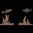 pstruh-podstavec-2-1-19.png two rainbow trout scenery in underwather for 3d print detailed texture