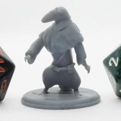 P4260096.jpg Free STL file Kenku Casual - Tabletop Miniature・3D printing model to download