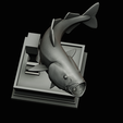 coalfish-open-mouth-statue-box-60.png COALFISH / POLLACHIUS VIRENS trophy with storage space for 3d printing