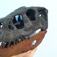 Indoraptor-skull-model-3d-print-21.jpg Indoraptor skull 3d print 30cm