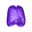 lungs_skelly.stl STL-Datei Human Skeleton kostenlos herunterladen • 3D-druckbares Modell, Cornbald