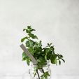 SITUATION-PIC-A-MENTHE-5.jpg Mint" plant marker - 3D STL file for printing | Aromatic picks | Indoor garden & kitchen garden