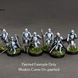 Painted-Front.jpg Medieval Clone Guard Squad - Legion Scale