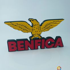 IMG_5007.jpg Benfica logo