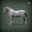 Percheron1.jpg Caballo percherón Modelo de impresión 3D