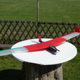 Capture_d_e_cran_2016-08-01_a__10.15.10.png Speedy "Red Swept Wing 2" RC