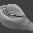 6.png Anatomical 3D Model of a Realistic Female Vagina - STL for 3D Printing