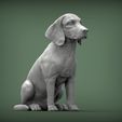 beagle3.jpg 3D-Datei Beagle 3D-Druckmodell・3D-druckbares Modell zum herunterladen