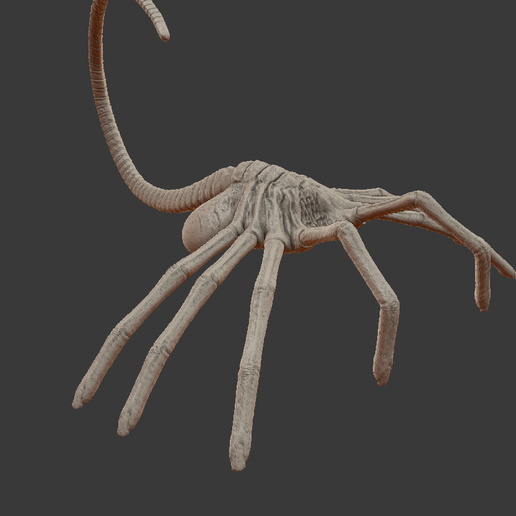 Captura-de-pantalla-386.png L'agresseur de visage n° 1