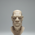LBJ2.png LeBron James Caricature Bust