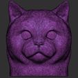 21.jpg British Shorthair cat head for 3D printing