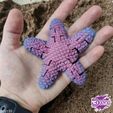 hfgdjgfhdjj-00;00;00;01-2.jpg 3 Crocheted Starfish