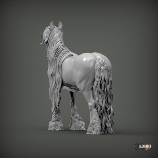 Gypsy-Vanner-Cobs5.jpg Gypsy Vanner Cobs