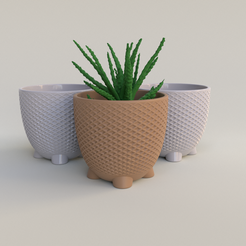 BeanPot_01_Viewport_012.png STL-Datei Kreuzgerippte Sukkulenten-Pflanzgefäße・3D-druckbare Vorlage zum herunterladen