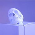 Melting Skull Cults 3D printing fichier 3D.png Melting Skull