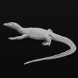 Turn4-min.png Asian Water Monitor - Realistic Lizard Reptile - Varanus Salvator