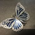 IMG_8424.jpg Steampunk butterfly