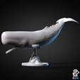 sperm_whale.png Animals - Ocean Wildlife