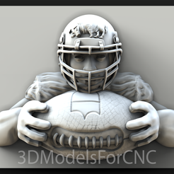 Green Bay Packers American Football Player Fur 3D model