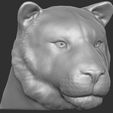 4.jpg Tiger head for 3D printing