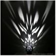 Polysmooth_22_04.jpg Dog Lamps