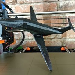 5462644db2141959a4830d83be5a4824_preview_featured.jpg Free STL file Pheon 100・3D printer model to download