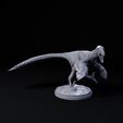 Dakotaraptor_2B.jpg Dakotaraptor 1-35 scale pre-supported dinosaur