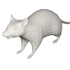10000.jpg Archivo 3D gratuito Rata・Objeto para descargar e imprimir en 3D