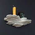 04.jpg STL-Datei Wandregal "Ostrea Fungus"・3D-Drucker-Vorlage zum herunterladen