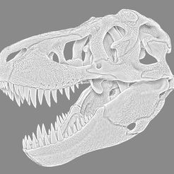 Skull-Tyrannosaurus.jpg Tyrannosaurus Rex Skull