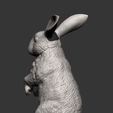 rabbit9.jpg Rabbit 3D print model
