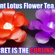 FLOWER_THUMB.jpg Lotus Flower Tea Light