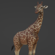Capture-d’écran-2023-06-25-à-13.55.24.png Giraffe