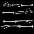 Skeleton-arm-bones.jpg Skeleton arm bones (58 bones)