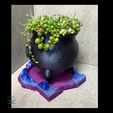 2.png Cauldron Planter with Drip Tray