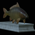 carp-statue-8.png fish carp / Cyprinus carpio statue detailed texture for 3d printing