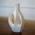 _DSC8643.jpg Organic Sculptural Dry Flower Vase