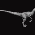 r1.jpg Modelo de figura Raptor