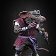 Sp04.jpg Master Splinter