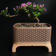 150_Rectangle_Kumiko-Bonsai-Planter-2.png Kumiko Bonsai Planter with Legs (Rectangle)