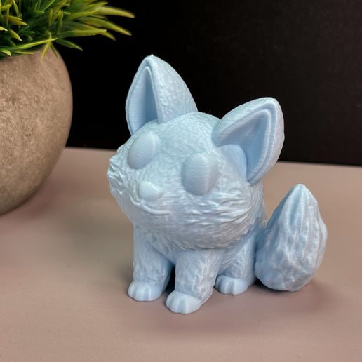 IMG_2247.jpg Lindo zorro