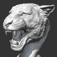 04.png Leopard Head AM27 3D print model
