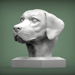 Labrador1.jpg Labrador 3D print model