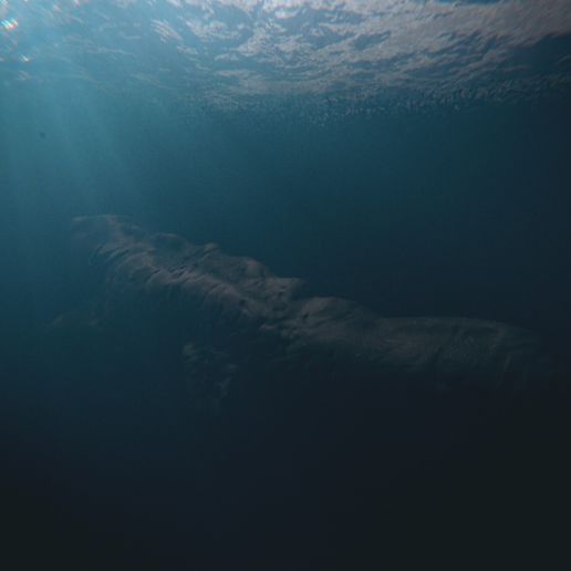 👹 Deep Sea Leviathan・ STL File for 3D printing・Cults