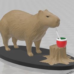 1.jpg capybara drinking mate