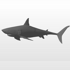 tibu .jpg STL file Shark - shark・3D printer model to download