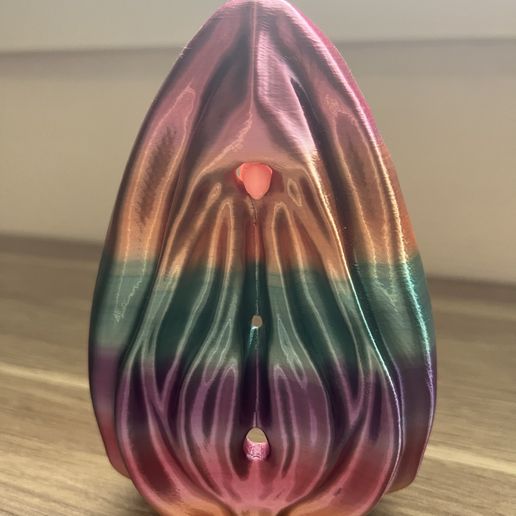 3d-anatomy-pack-vulva-and-clitoris-for-education-and-training-in