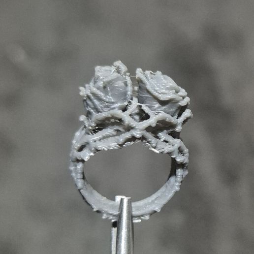 1000071080.jpg Stranger things Ring