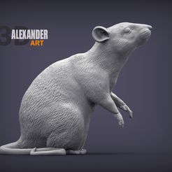 rat-1.jpg Rat on hind legs 3D print model